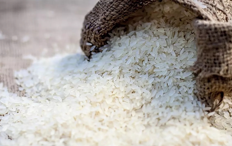 Food Cooperation of India started e-auction of rice to control retail price: Food Secretary