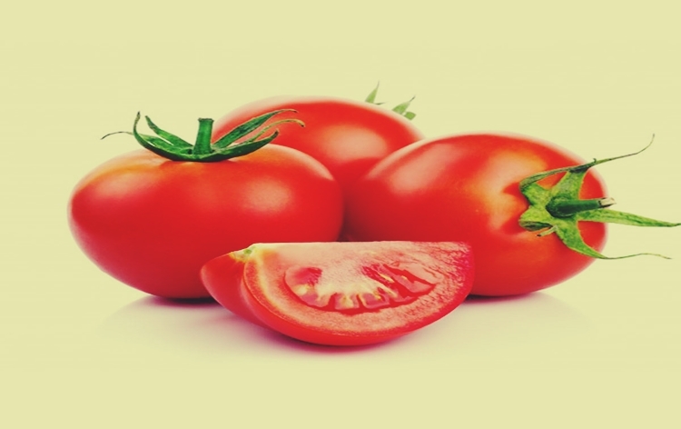Central govt begins sale of tomatoes at discounted rate of 90 rupees per kg in Delhi-NCR & Uttar Pradesh