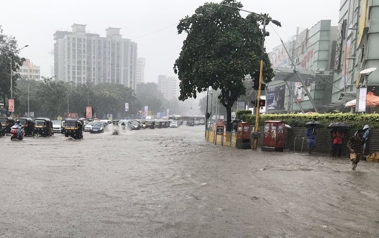 Heavy rain report in many districts of Maharashtra