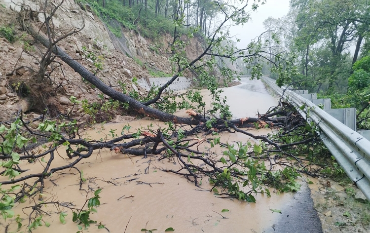 Monsoon rains continue in most parts of Himachal Pradesh since this morning