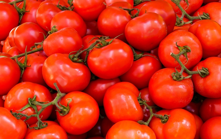 Centre slashes price of Tomato sold by NCCF, NAFED from today