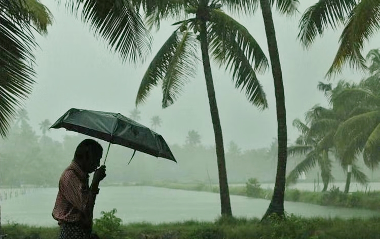 Kerala: IMD issues Orange alert in Kannur and Kasaragod districts today
