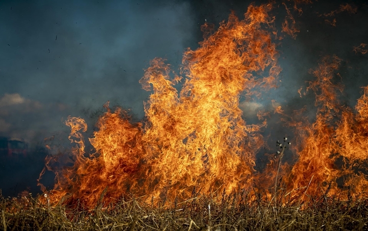 Canada wildfire: 20,000 people, residents of Yellowknife evacuating