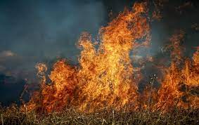European Union fleet sends 407 firefighters,11 planes & a helicopter to help Greece counter the fire north of city of Alexandroupoli
