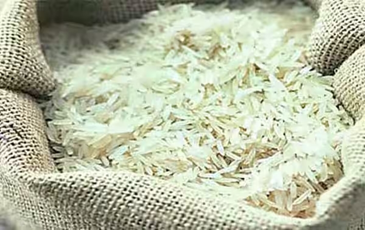 Punjab govt undertakes pilot project of residue-free Basmati rice cultivation