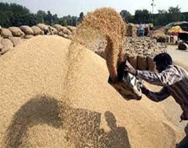 Govt orders all traders and retailers to mandatorily declare stock position of wheat from Monday