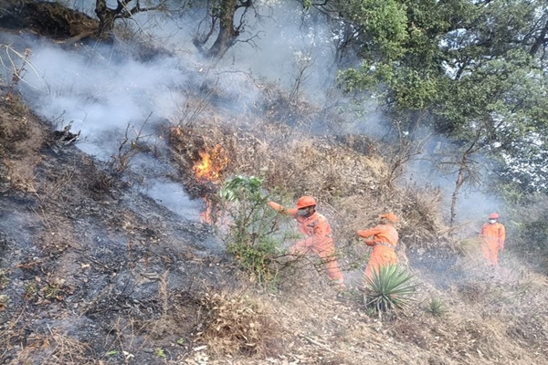 Forest fire situation in Uttarakhand’s Kumaon and Garhwal divisions significantly improved, with effective containment efforts