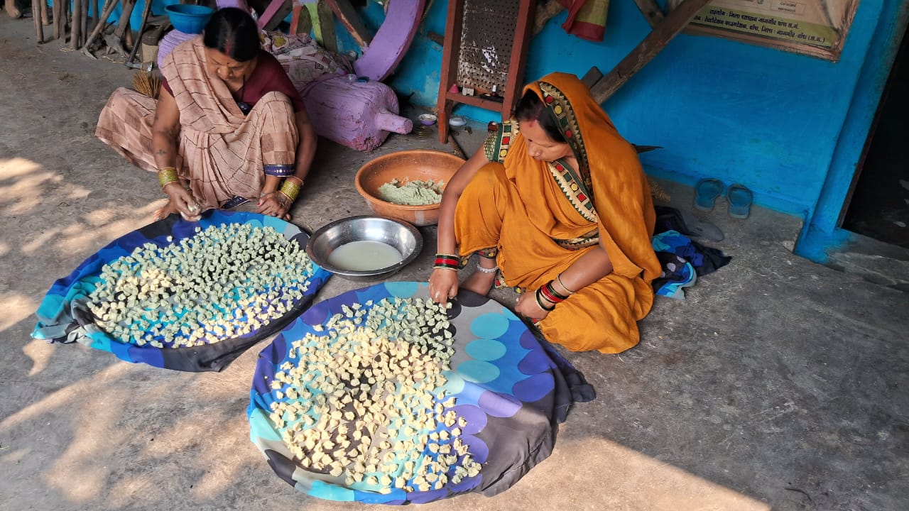 छत्तीसगढ़ में बड़ी के साथ एक नया प्रयोग महिलाएं कर रही अपना जीवन व्यपन