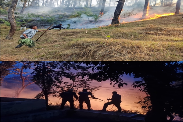 Uttarakhand: Efforts to combat forest fire underway; Eight persons involved in forest fire arrested