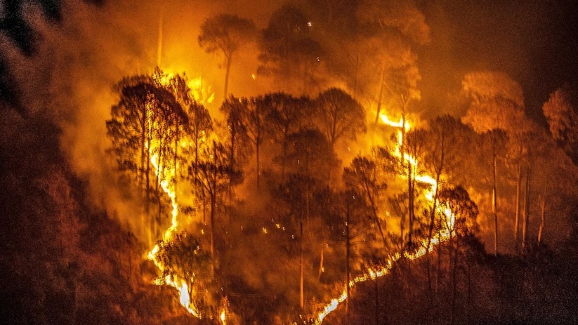 प्रदेश में भीषण गर्मी के बढ़ते प्रकोप के बीच वनों में आग की घटनाएं लगातार सामने आ रही हैं