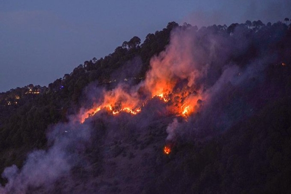 Uttarakhand: 930 incidents of forest fires reported in Garhwal and Kumaon regions