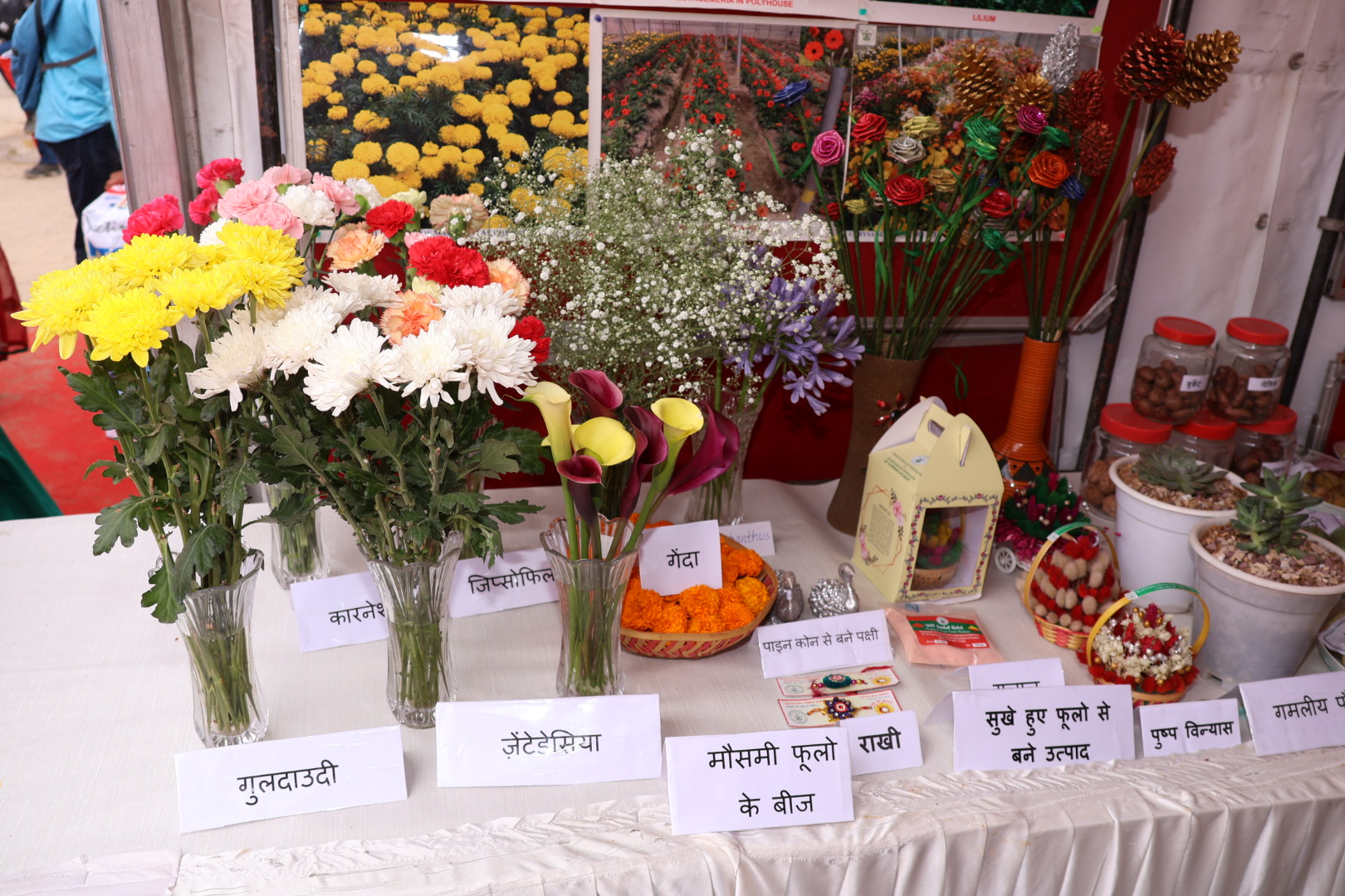 माँ शूलिनी मेला-2024 के अवसर पर शहद, फूलों एवं सब्जियों की प्रदर्शनी बनी आकर्षण का केन्द्र