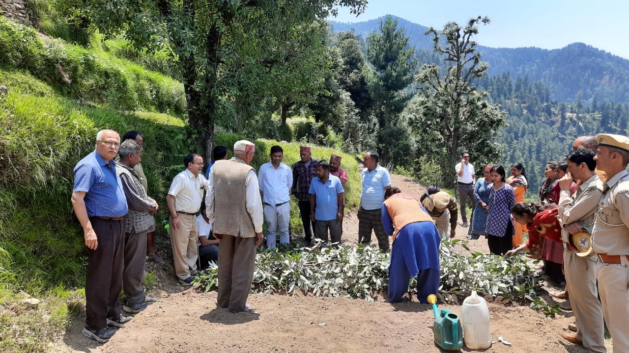 वाइल्ड लाइफ डिवीजन कुल्लू में औषधीय पौधे चिरायता की खेती का सफल डेमोस्ट्रेशन का आयोजन किया