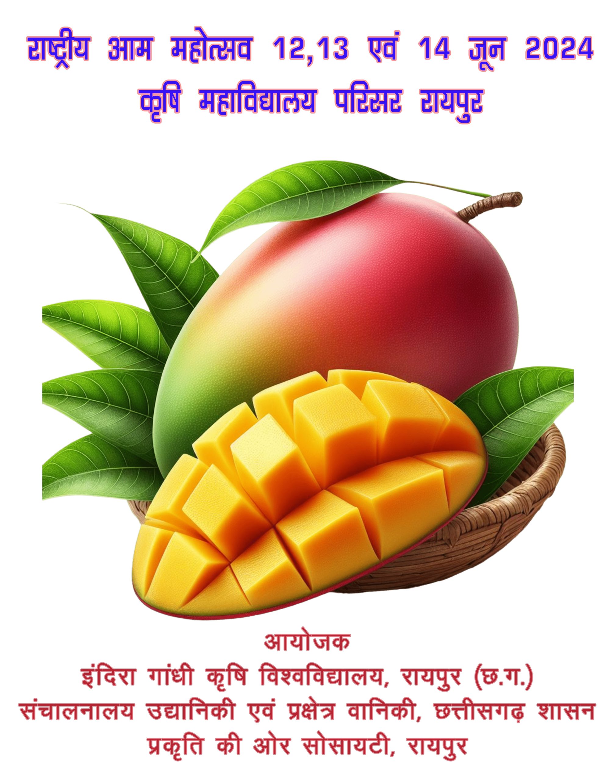 इंदिरा गांधी कृषि विश्वविद्यालय में कल बुधवार से 3 दिवसीय राष्ट्रीय आम महोत्सव का आयोजन किया जाएगा