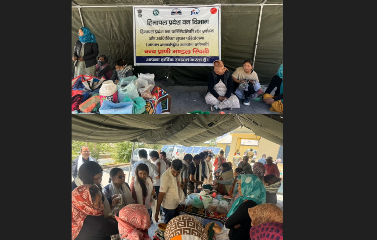 जनजातीय जिला लाहौल-स्पीति में तैयार होने वाले किंग ऑफ विटामिन सी के उत्पाद देश-विदेश में पसंदीदा बन चुके हैं
