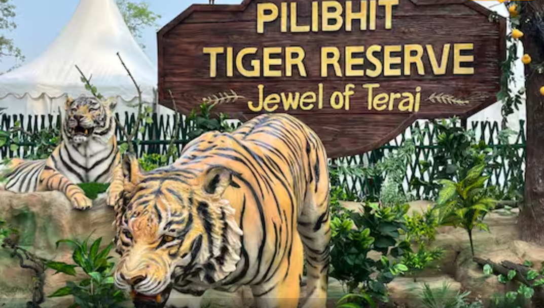 पीलीभीत टाइगर रिजर्व उभर रहा ईको टूरिज्म के हब के रूप में, जर्मनी, फ्रांस, ऑस्ट्रेलिया और अमेरिका से आ रहे हैं पर्यटक
