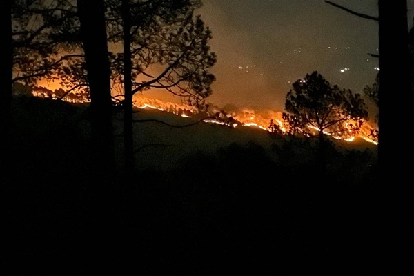 Uttarakhand: Massive Fire at Binsar Wildlife Sanctuary; Army helicopters airlifted water from Bhimtal