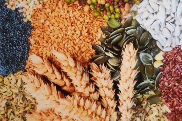 Total foodgrain production in country estimated at over 3,288 lakh tonnes in 2023-24