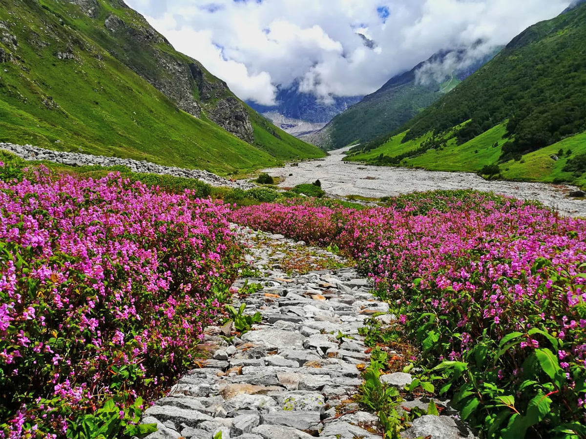 चमोली स्थित विश्व प्रसिद्ध फूलों की घाटी आज से पर्यटकों के लिए खोल दी गई है