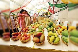 नई दिल्‍ली नगरपालिका परिषद-एनडीएमसी दो दिवसीय आम महोत्‍सव का आयोजन करेगी