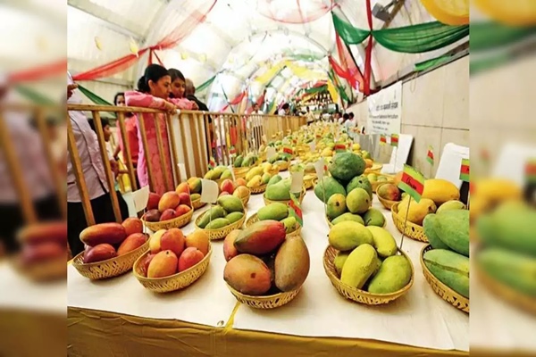 NABARD organises ‘Mango Festival’ in Bhopal