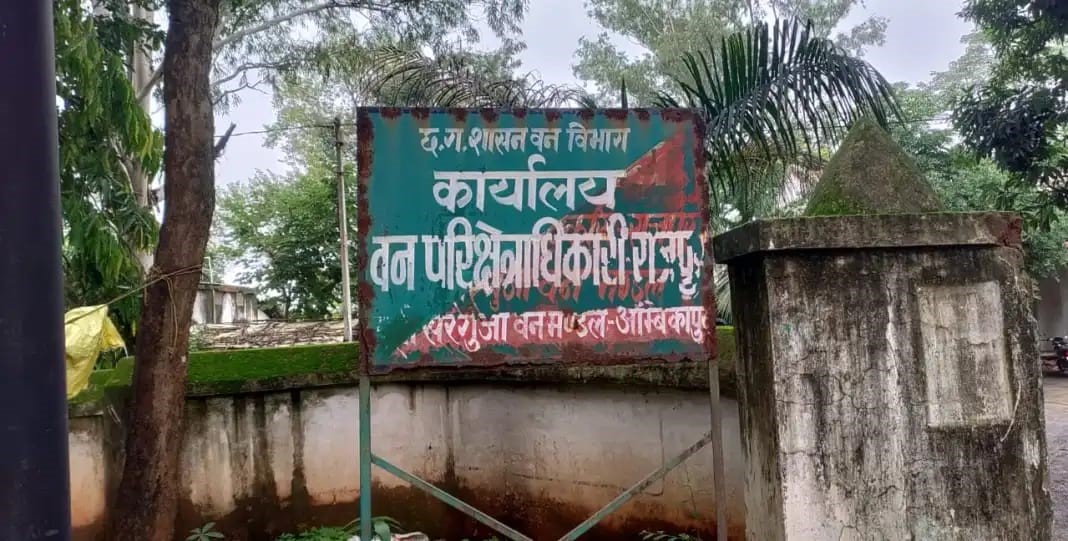 बलरामपुरः साल पेड़ की अवैध कटाई करने के आरोप में वन विभाग ने आठ लोगों पर कार्रवाई की