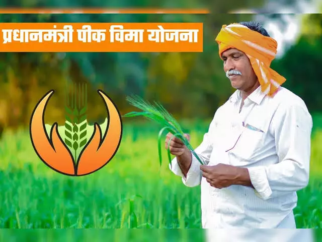 शेतकऱ्यांना पीक विमा भरण्यासाठी 31 जुलैपर्यंत मुदतवाढ