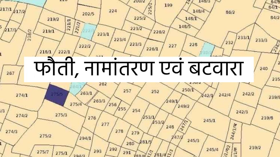 राजस्व प्रकरणों के निराकरण के लिए छत्तीसगढ़ में छह जुलाई से राजस्व पखवाड़ा आयोजित किया जाएगा