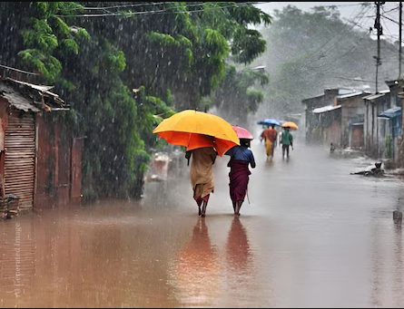 राज्याच्या बहुतांश भागात पावसाची संततधार, कोकणात जनजीवन विस्कळीत