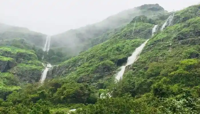 वर्षा सहली दरम्यान एकाच कुटुंबातील पाच जण  गेले वाहून