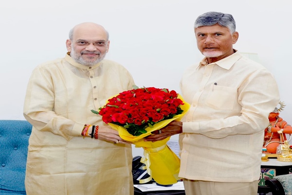 AP CM Naidu meets Home Minister Amit Shah