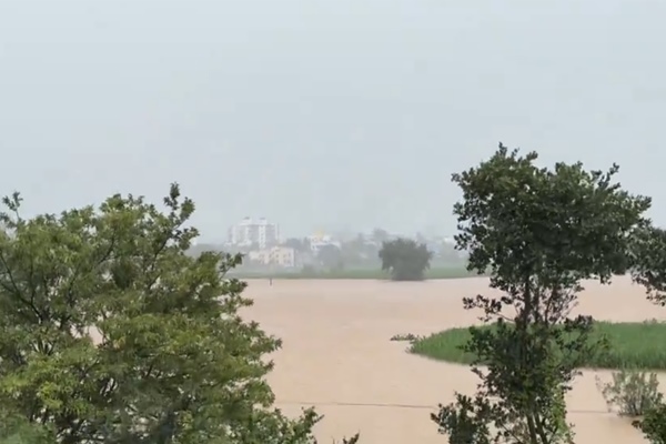 गुजरात में सुबह से ही भारी बारिश, एक सौ पचास से अधिक तहसीलों में हल्की से तेज बारिश दर्ज