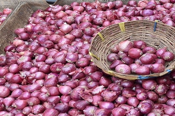 रबी हंगामातील कांद्याचं प्रमाण वाढत असल्यामुळे कांद्याचे भाव स्थिर