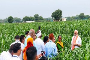 पंजाब के किसानों ने प्रधानमंत्री नरेंद्र मोदी द्वारा फसलों की 109 उन्नत किस्में जारी करने का स्वागत किया