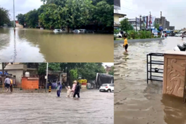 Gujarat Hit by Heavy Rains: 251 Blocks Affected, 9 Dead & Bus Trips Canceled