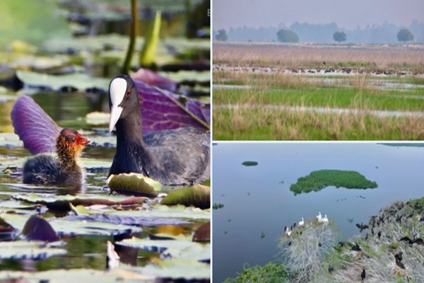 India added 3 Ramsar sites to the network, taking the tally to 85 Ramsar sites: Minister Bhupendra Yadav