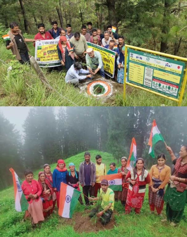 हिमाचल प्रदेश: 78वें स्वतंत्रता दिवस के अवसर पर जाइका वानिकी परियोजना ने जारी रखा पौधारोपण अभियान