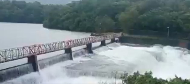 राज्याच्या अनेक भागात मुसळधार पावसामुळे नद्यांच्या पाणीपातळीत वाढ