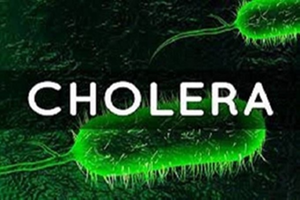 Sudan declares Cholera outbreak, WHO Reports 316 Deaths
