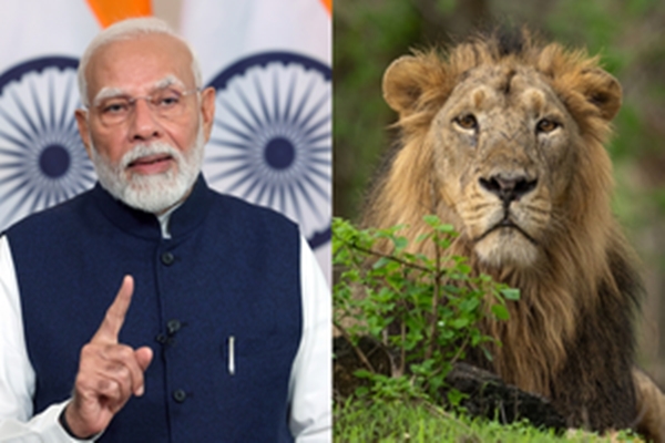 રાજ્યભરમાં આજે વિશ્વ સિંહ દિવસની ઉજવણી થઇ રહી છે