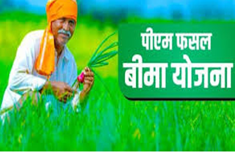 प्रदेश के ऋणी किसान अब 25 अगस्त तक अपनी खरीफ फसलों का बीमा करा सकेंगे