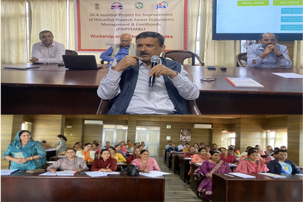 स्वयं सहायता समूह ही हिम ट्रेडिशन के ब्रांड एम्बेसडर: समीर रस्तोगी