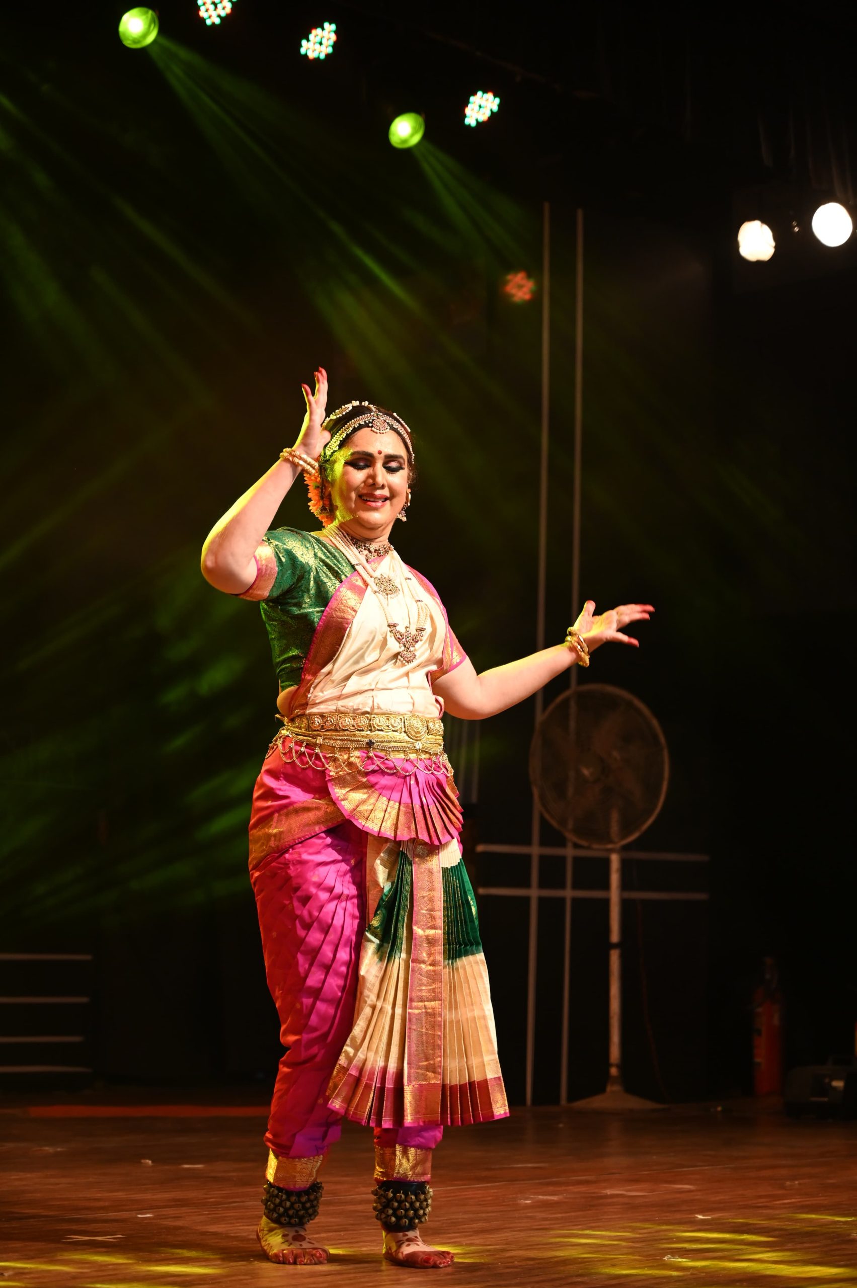 रायगढ़ में आयोजित चक्रधर समारोह में नृत्यांगना मीनाक्षी शेषाद्रि ने भरतनाट्यम की प्रस्तुति दी