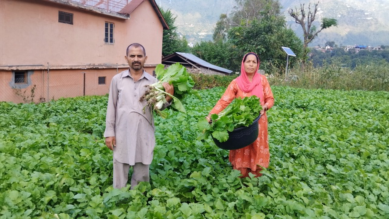 किसानों के लिए वरदान साबित हो रही है कृषि विभाग की योजनाएं;  विभिन्न किस्मों की नगदी फसलों से सालाना कमा रहे हैं लगभग 5 लाख रुपए 