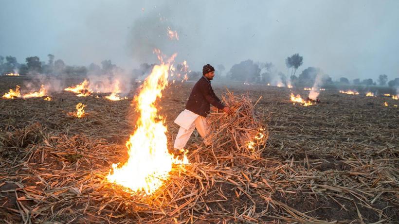 हापुड़ में फसलों के अवशेष जलाने पर अब 15 हजार रूपए का जुर्माना