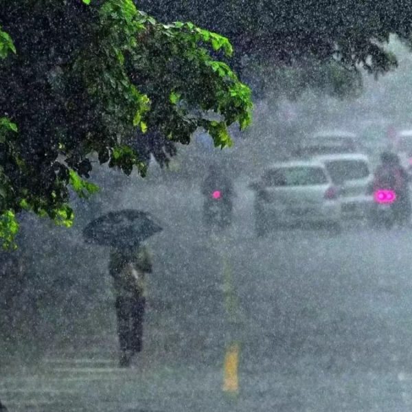 ) ভারতীয় আবহাওয়া দপ্তর সতর্কবার্তা জারি করার পর উত্তরপ্রদেশের পশ্চিমাঞ্চল এবং তরাই এলাকায় উচ্চ সর্তকতা জারি করা হয়েছে। বৃষ্টি জনিত দুর্ঘটনায় এ পর্যন্ত পাঁচজনের মৃত্যুর খবর পাওয়া গেছে।