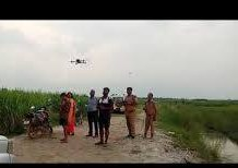 बहराइच में भेड़ियों के झुंड का आखिरी भेड़िया वन विभाग के ड्रोन कैमरे में कैद हुआ