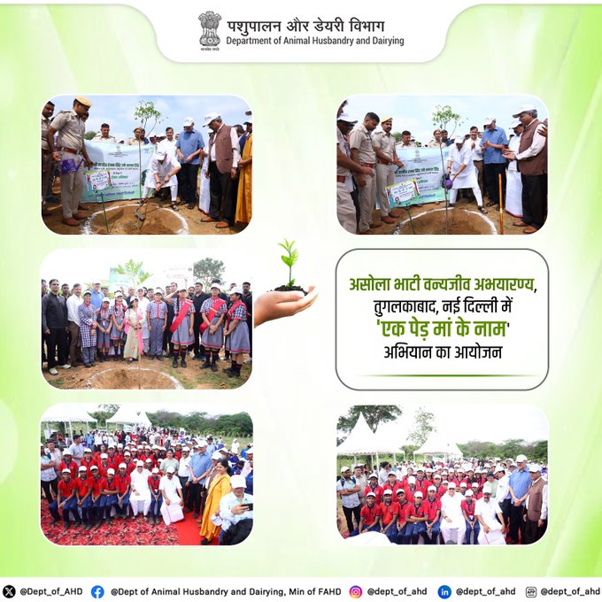 Tree plantations would help to tackle the climate change issue: Rajiv Ranjan