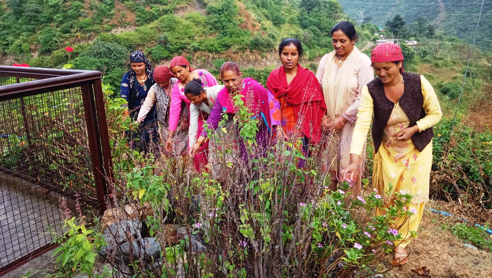 झाड़ियों और कचरा को साफ करके  मैत्री ग्राम संगठन और स्वयं सहायता समूह ट्रहाई की महिलाओं ने स्वच्छता का दिया संदेश