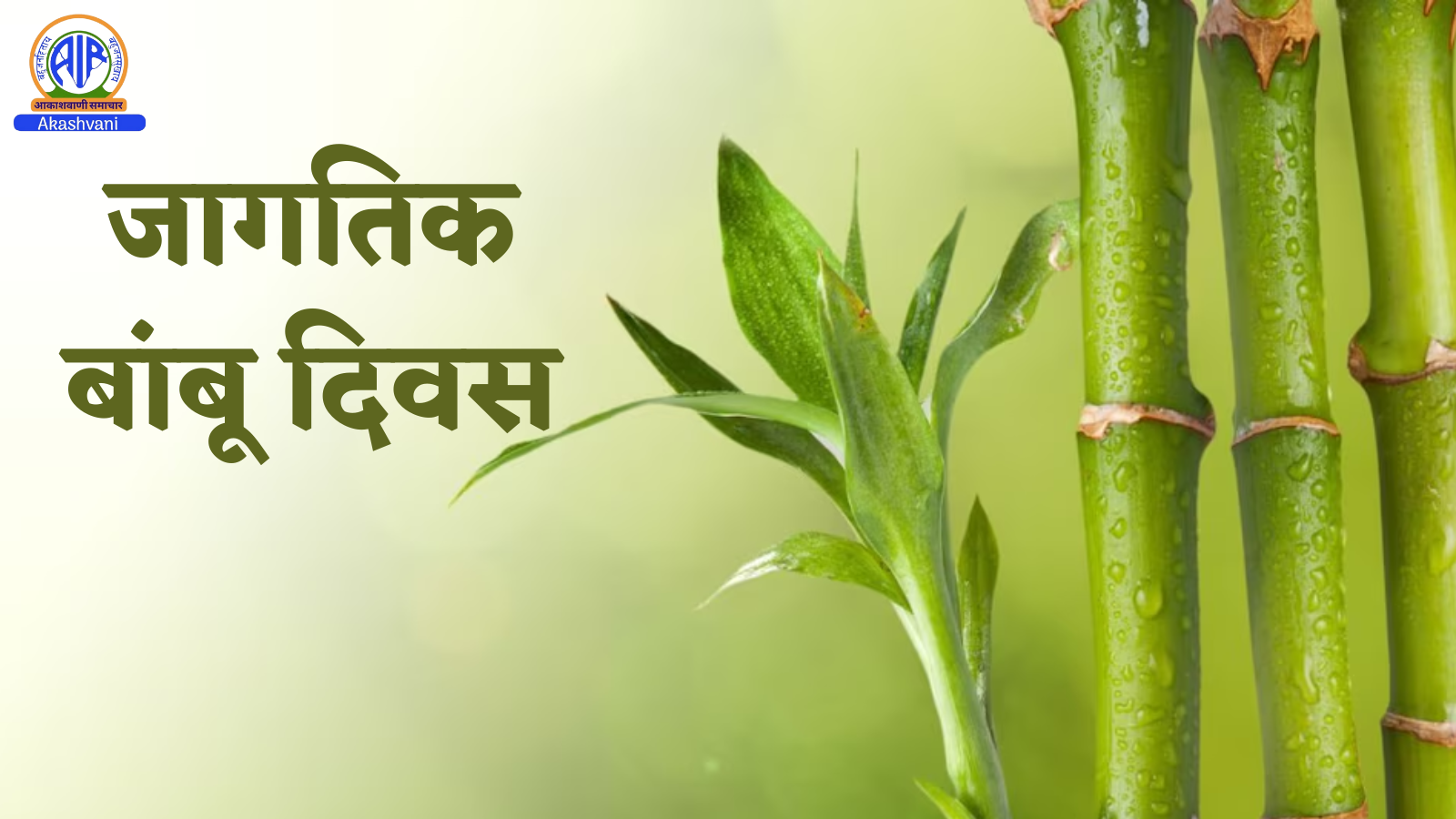 जागतिक बांबू दिनानिमित्त १८ सप्टेंबरला मुंबईतील यशवंतराव प्रतिष्ठानमध्ये विशेष परिसंवादाचं आयोजन